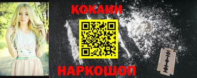 шишки Камышлов