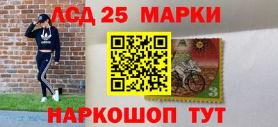 шишки Камышлов