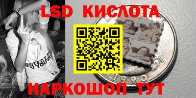шишки Камышлов