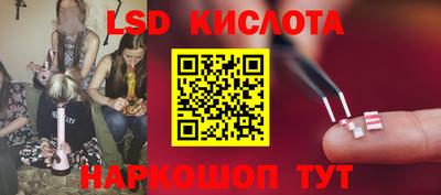 шишки Камышлов