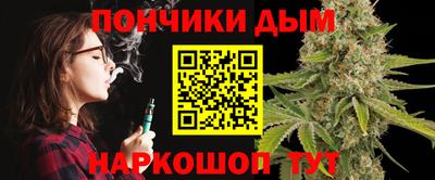 шишки Камышлов