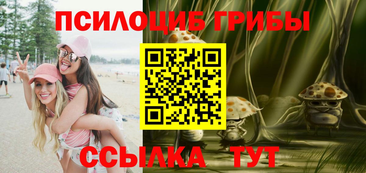 Шали  купить  цена  Галлюциногенные грибы GOLDEN TEACHER  Вход с VPN  Псилоцибиновые грибы мицелий 